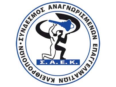 saek logo